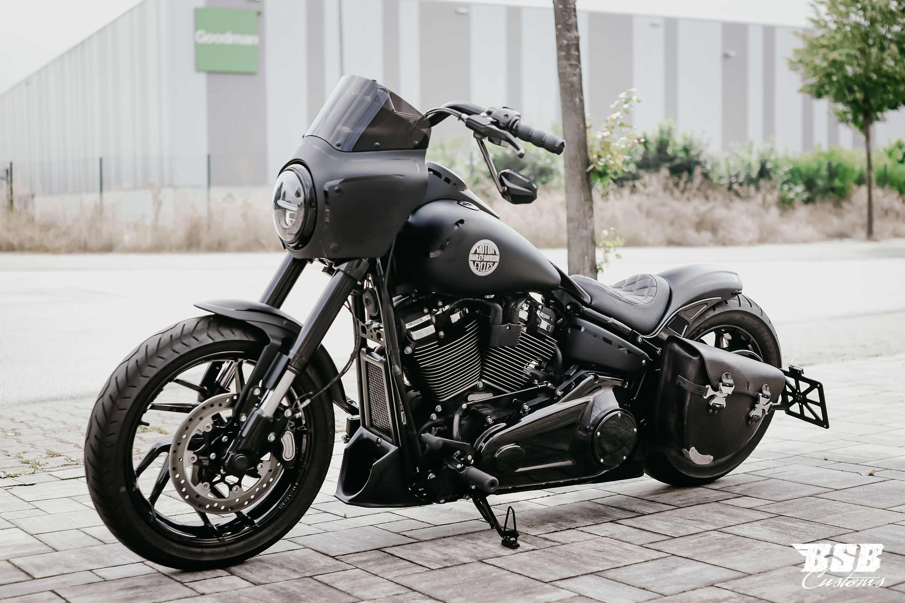 _MG_0120 2019 Harley Davidson Sport Glide Milwauke-Eight ABS Jekill & Hyde sehr viele Extras + 12 Garantie