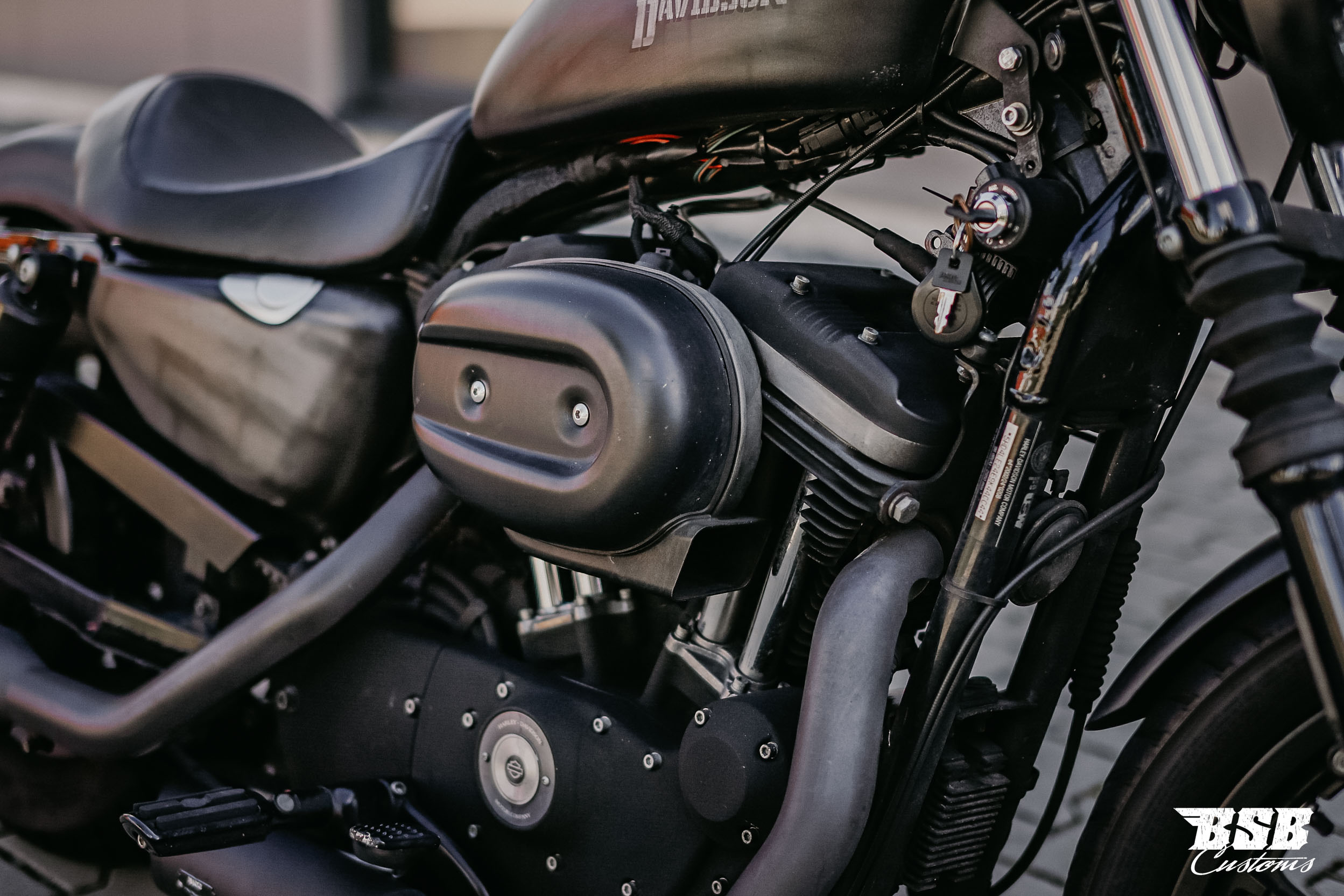 _MG_6814aKHQmetBxuAIf 2009 Harley Davidson XL 883 mit verstallbarer MCJ Anlage Airbrush
