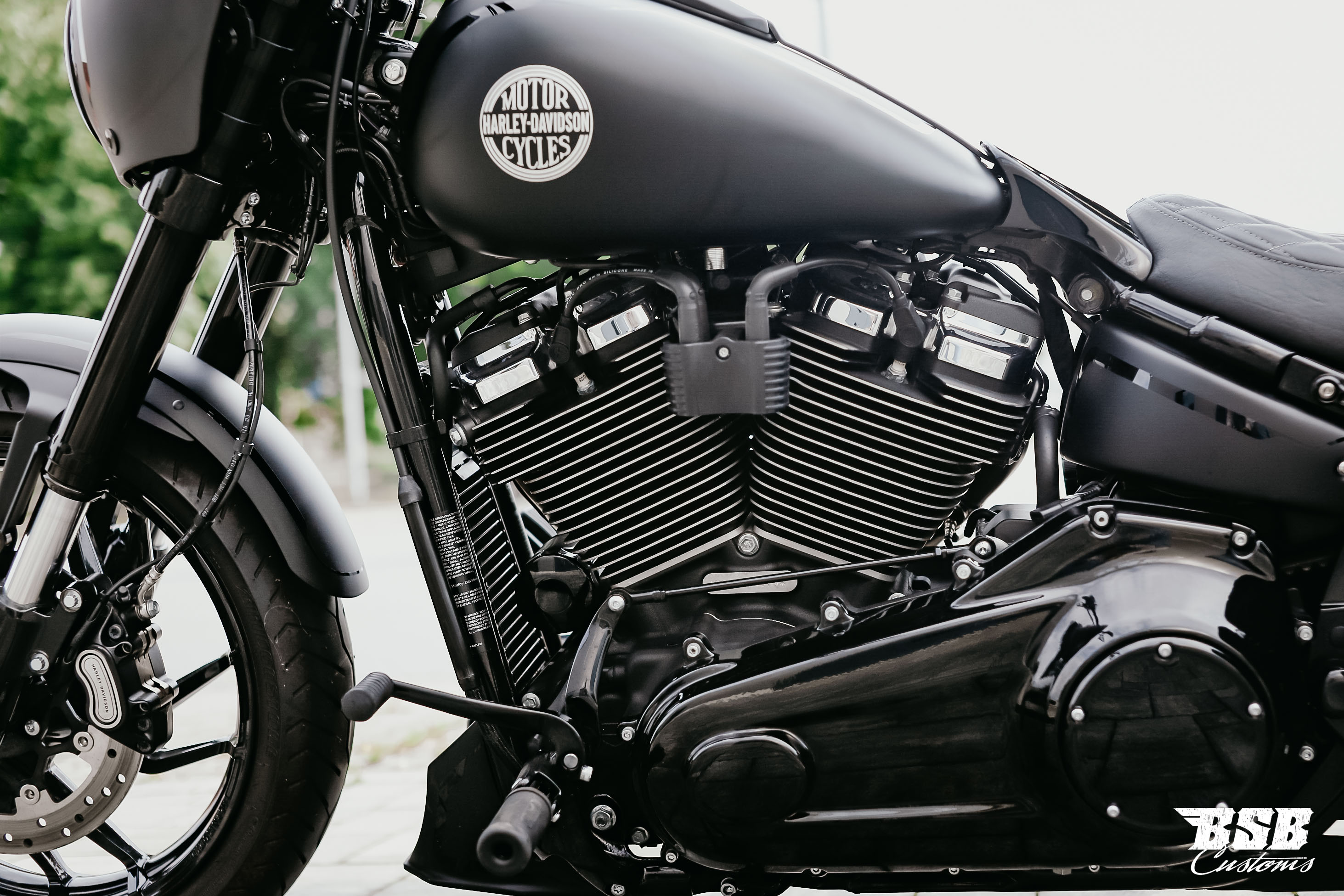 _MG_0118 2019 Harley Davidson Sport Glide Milwauke-Eight ABS Jekill & Hyde sehr viele Extras + 12 Garantie