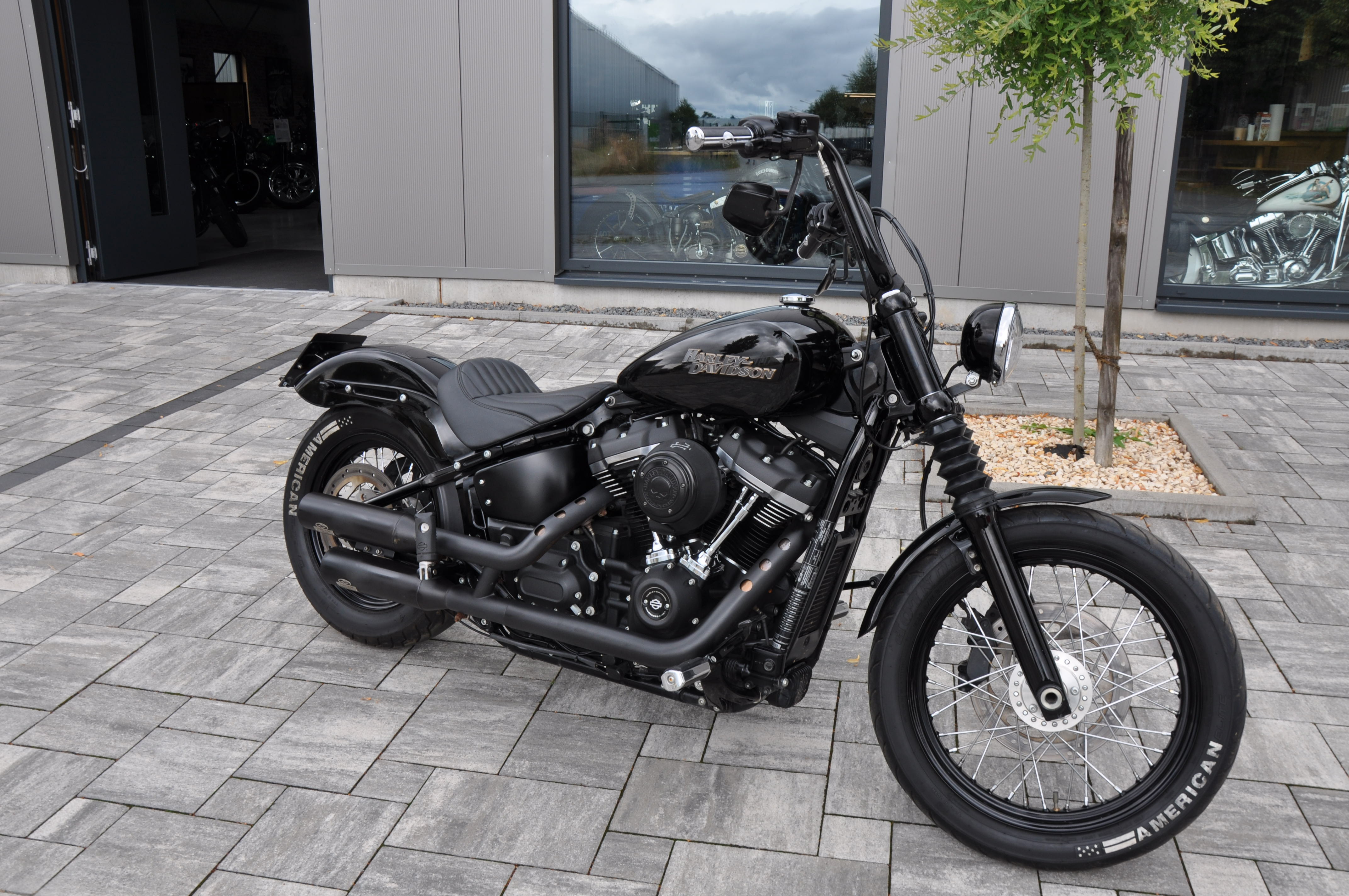 DSC_0455JOKPt6yR9gUSF 2019 FXBB Softail Street Bob M8,107 CUI Jekill Anlage, Griffheizung, Ricks Hebel