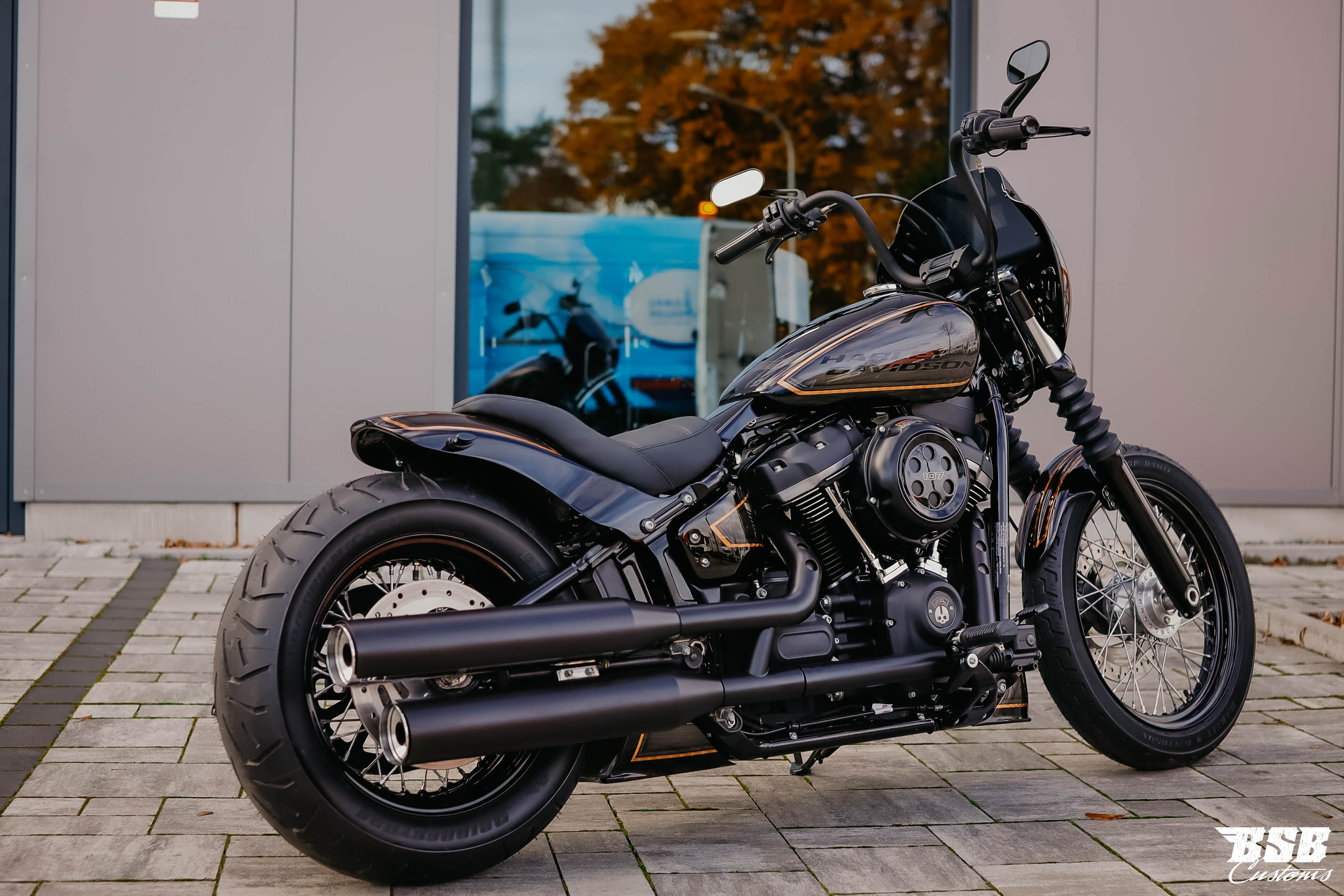 HARLEY-DAVIDSON M8 SOFTAIL HECKFENDER "BOBBSTR" 2018-2022 FÜR 150-170 BREITREIFEN mit Gutachten !!!