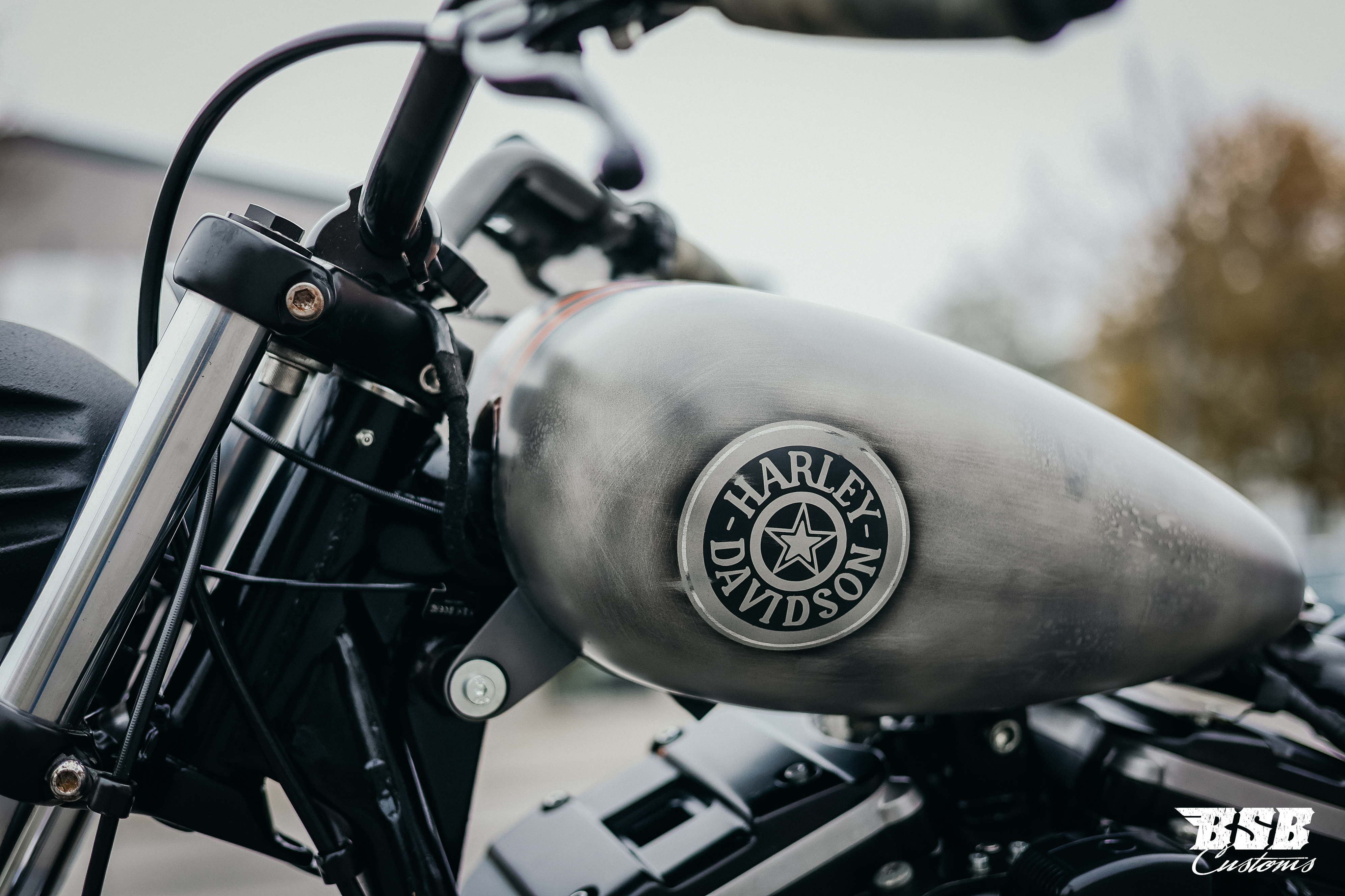 2001 Harley Davidson XL 883 mit Megaumbau und Leistungsteigerung auf 1200ccm 