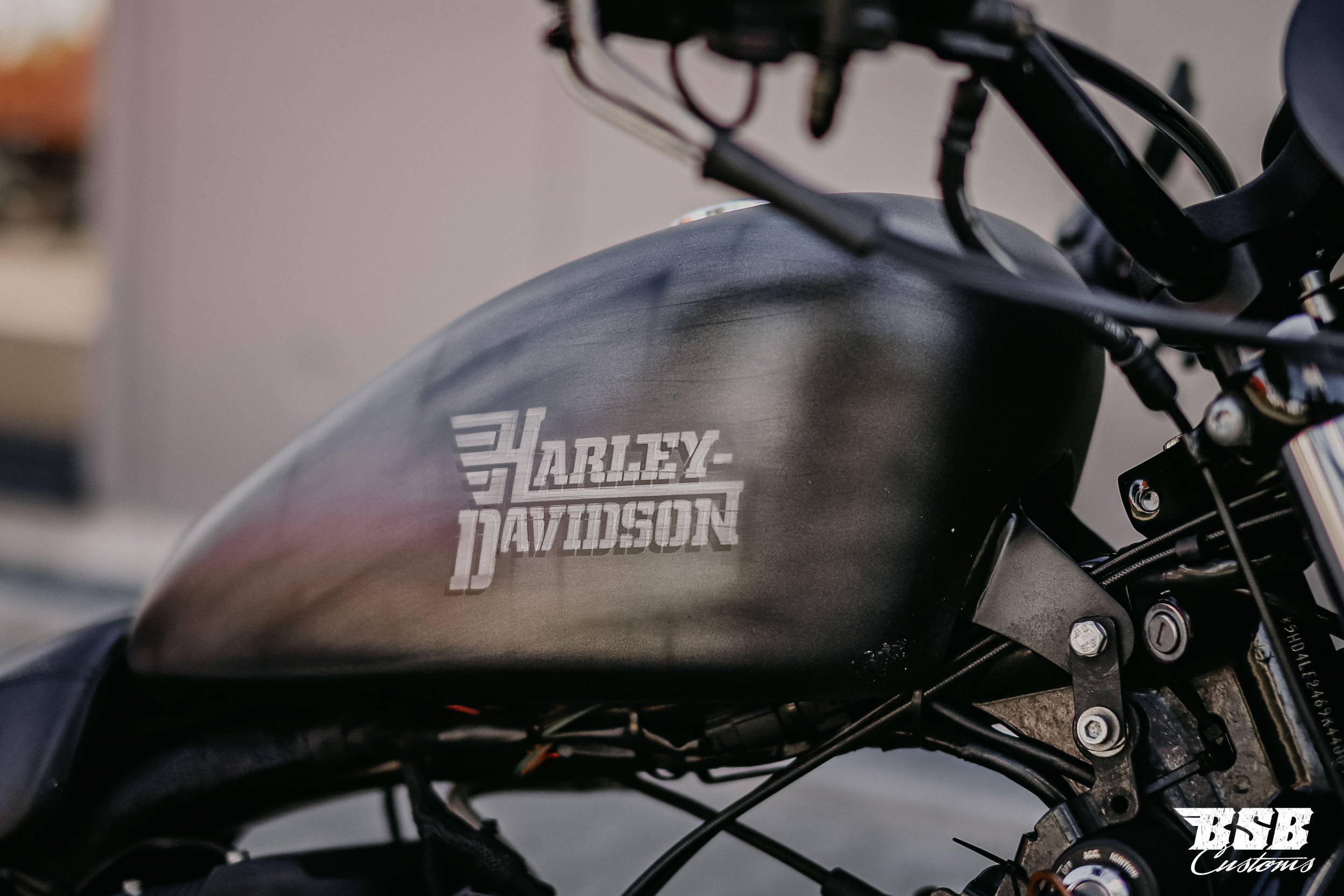 _MG_6812 2009 Harley Davidson XL 883 mit verstallbarer MCJ Anlage Airbrush