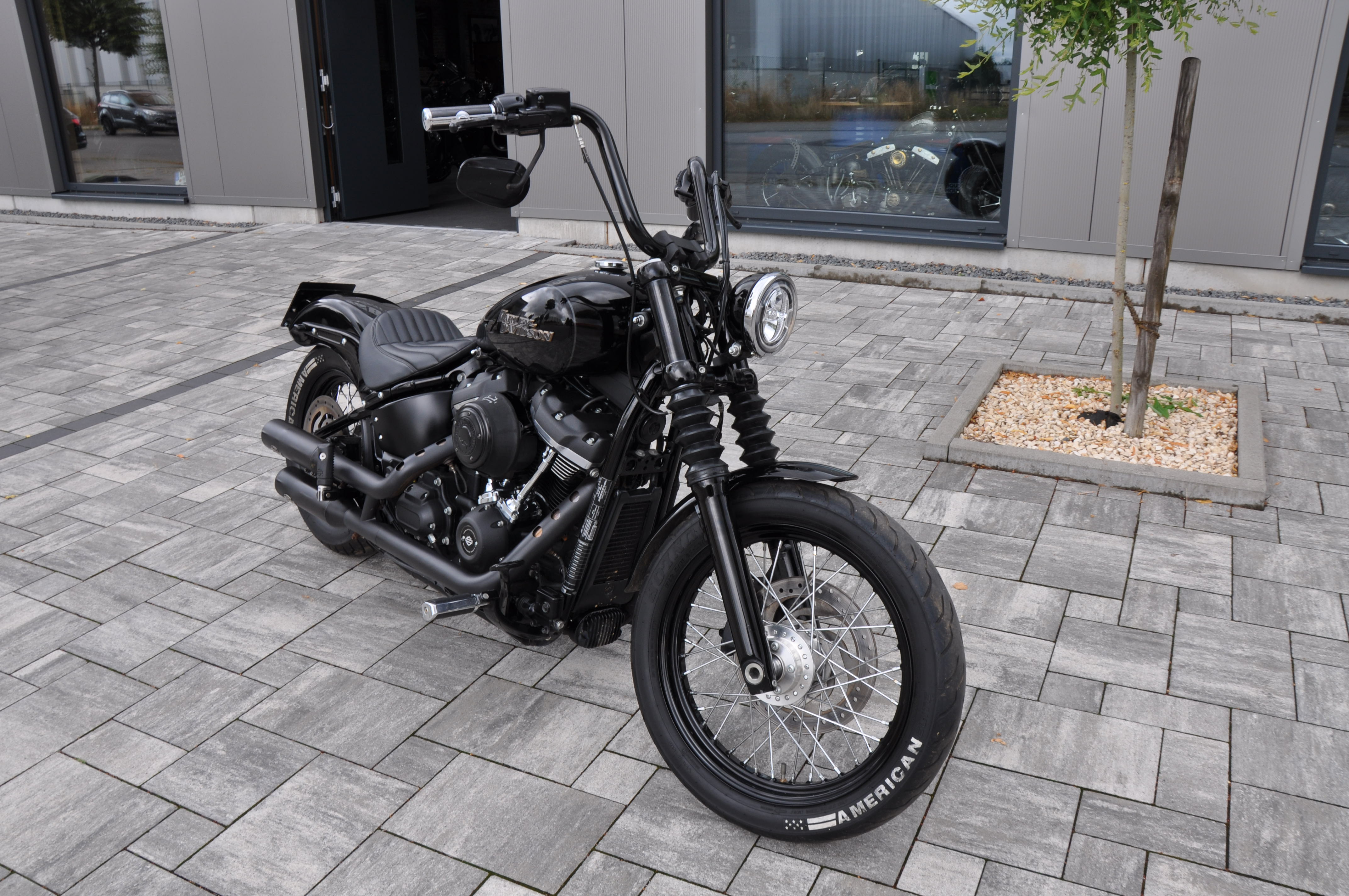 DSC_04578ZNkZwLYlet2Y 2019 FXBB Softail Street Bob M8,107 CUI Jekill Anlage, Griffheizung, Ricks Hebel