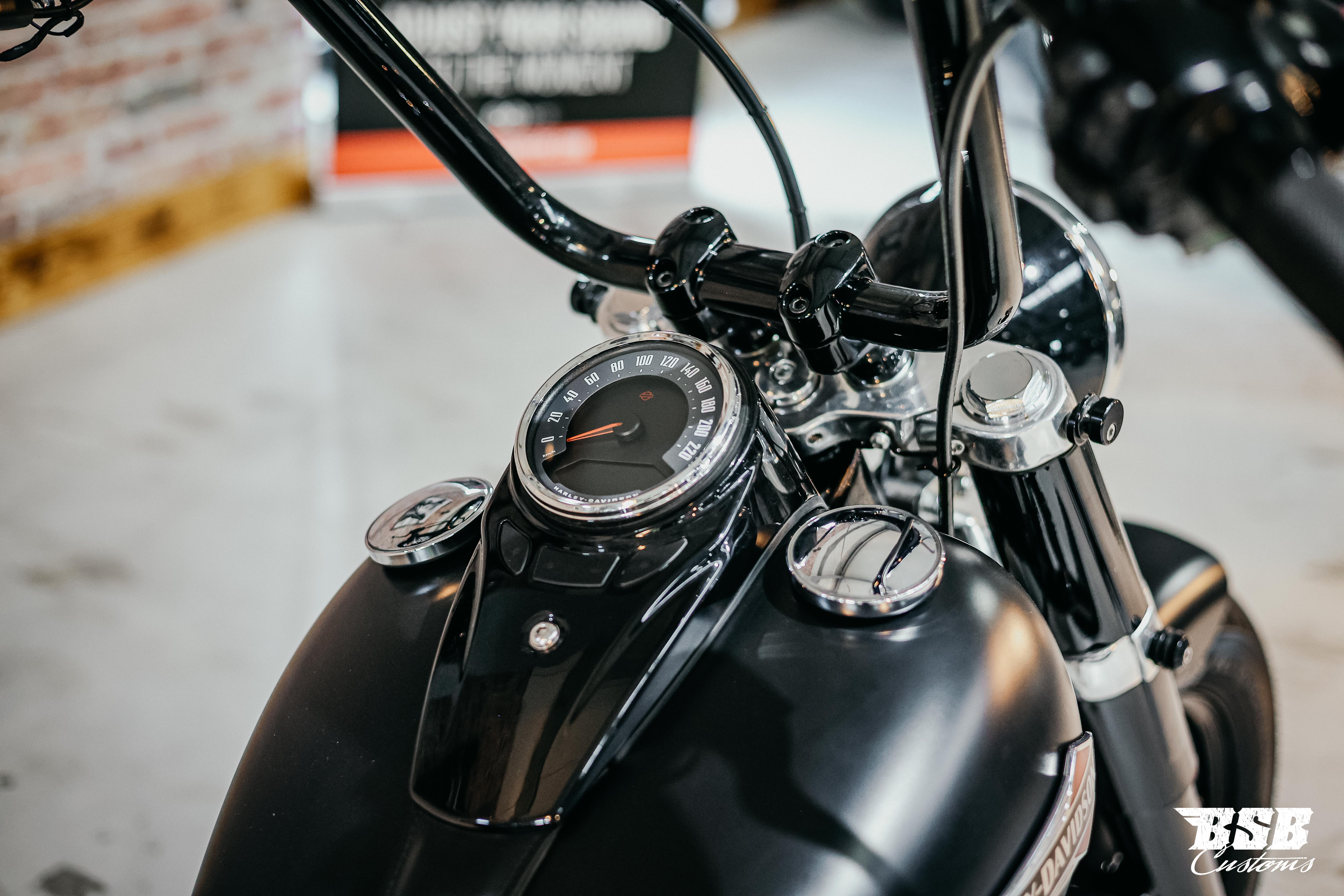 Harley Davidson FLSL Softail Slim M8 107 | Jekill & Hyde | Garantie ...  Finanzierung ab 5,99% möglich 